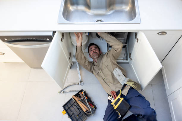 Best Plumbing Inspection Services  in Dana, NC