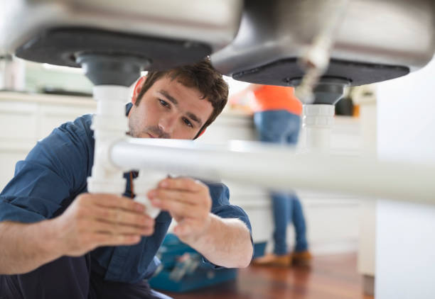 Best Local Plumber Services  in Dana, NC