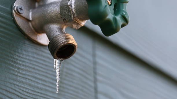 Best Septic Systems  in Dana, NC